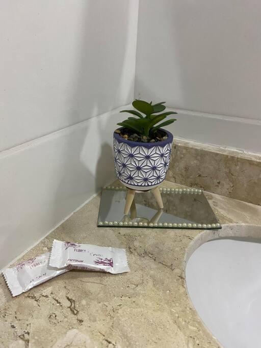 Appartamento Flat Elegante E Bem Localizado Feira de Santana Esterno foto
